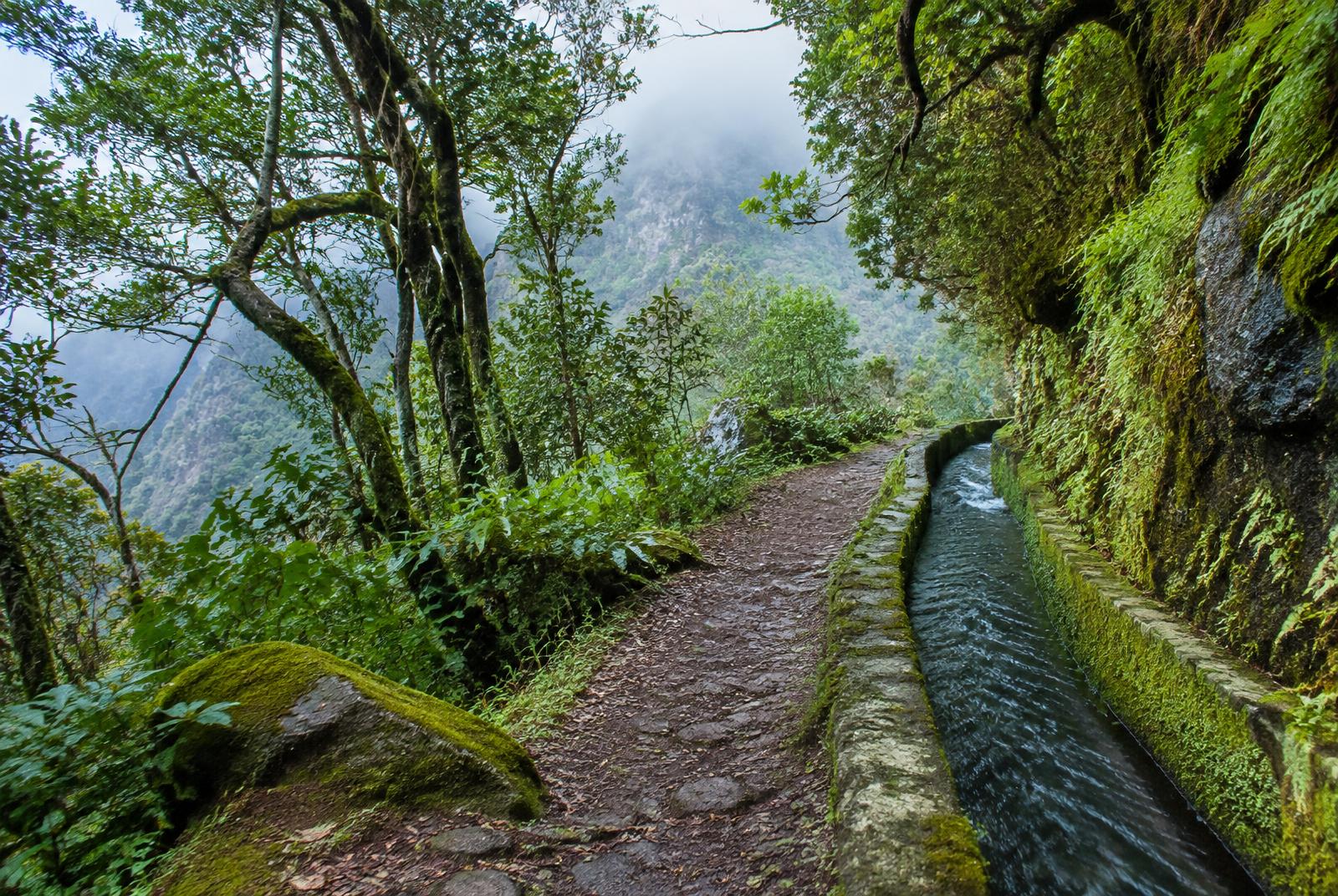 Les levadas, veines de l'île · Madère
