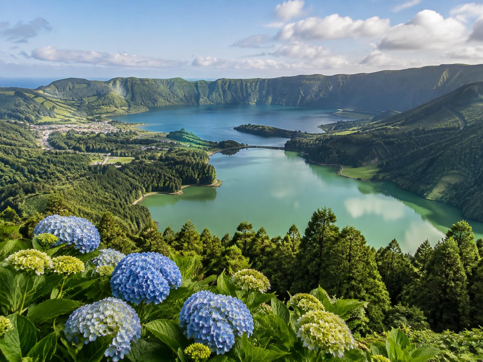 Lacs de Sete Cidades et hortensias bleus sur l'île de São Miguel aux Açores