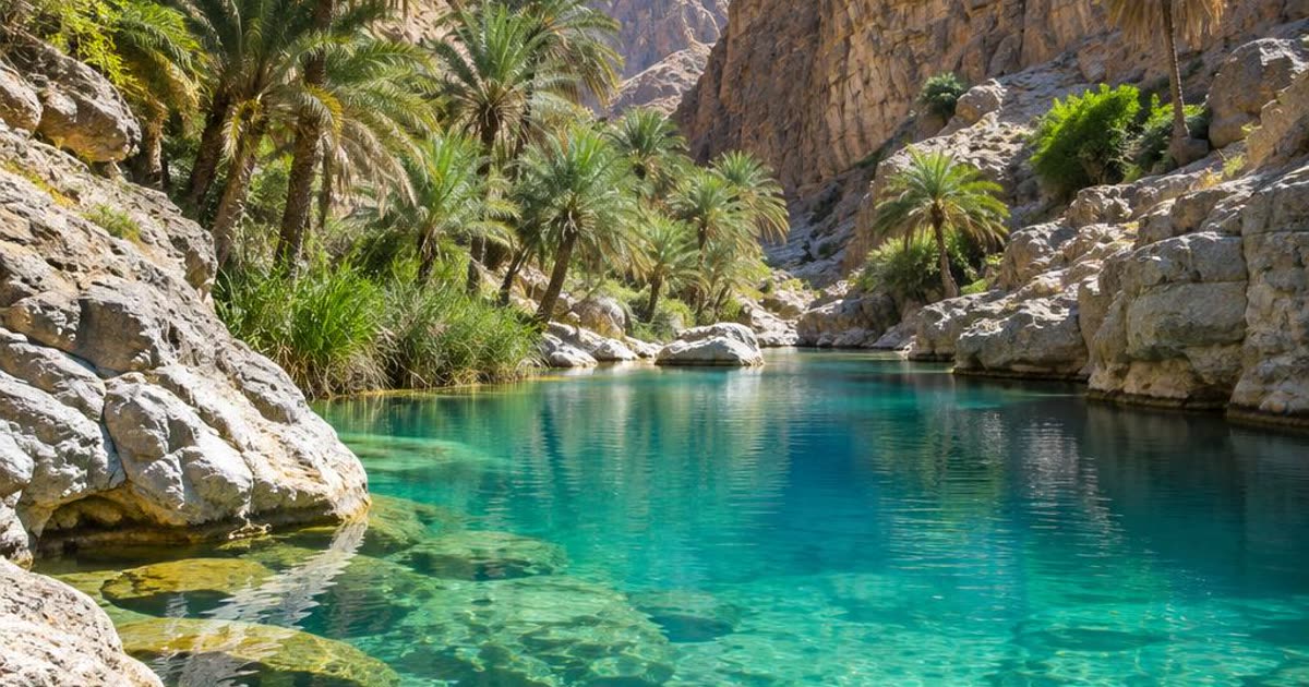 Wadi aux eaux turquoise entouré de palmiers à Oman
